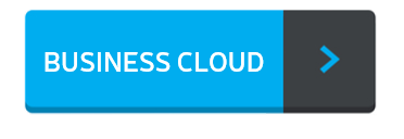 Business Cloud