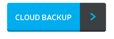 Cloud Backup